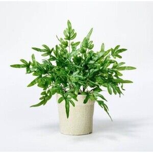 Faux Ribbon Fern 13”H Potted Plant - Threshold designed with Studio McGee